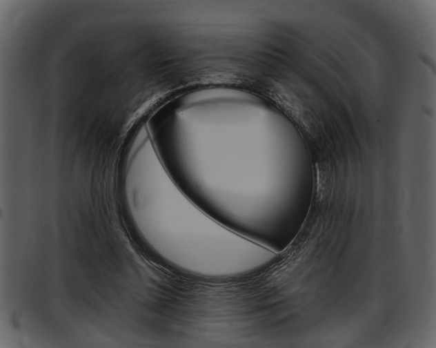 X0000097600348200802290737