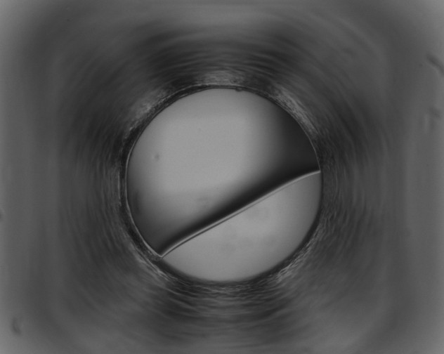 X0000097600349200802290737
