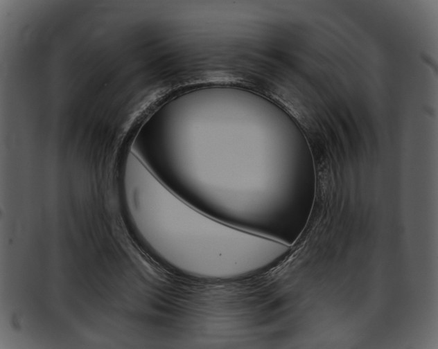X0000097600350200802290737