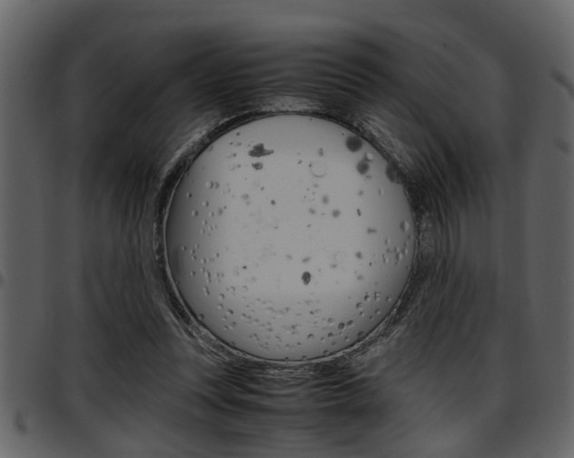 X0000097600351200802290737