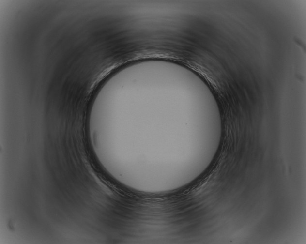 X0000097600352200802290737