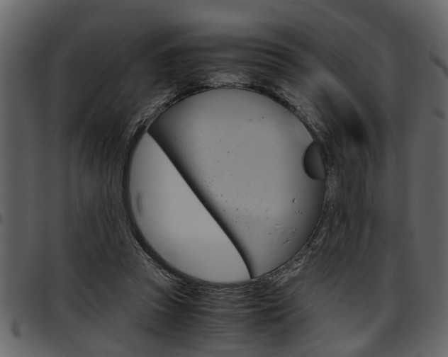 X0000097600353200802290737