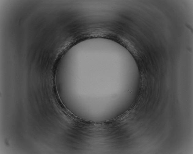 X0000097600354200802290737