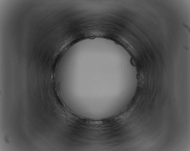 X0000097600355200802290737