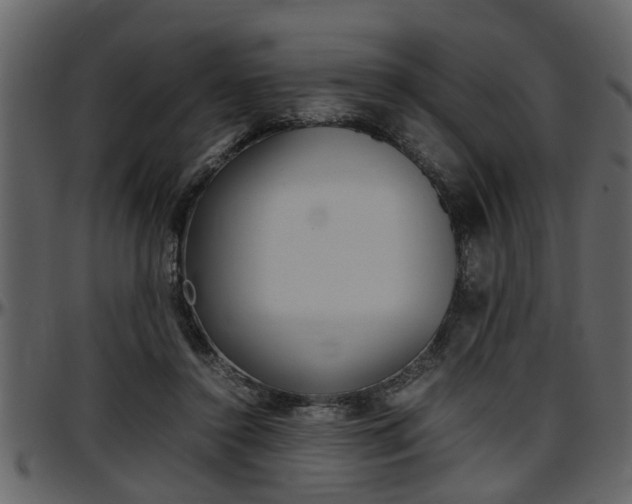 X0000097600356200802290737
