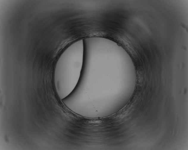 X0000097600357200802290737