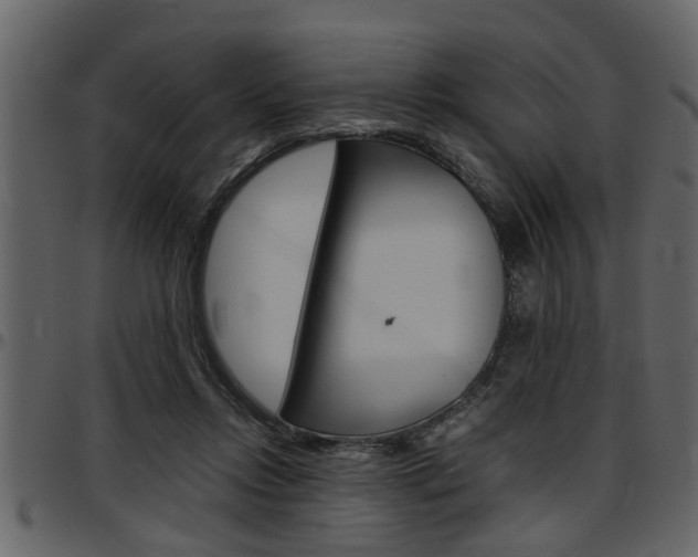 X0000097600358200802290738