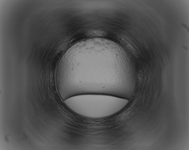 X0000097600359200802290738