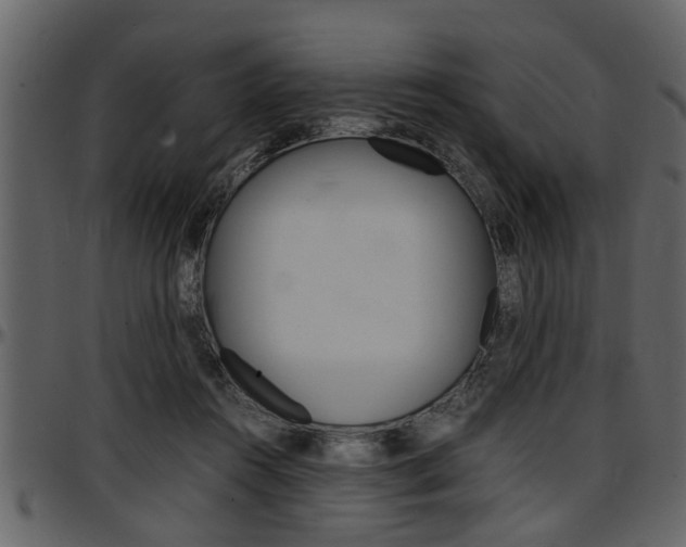 X0000097600360200802290738