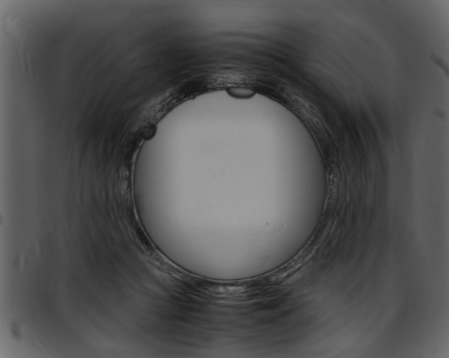 X0000097600361200802290738