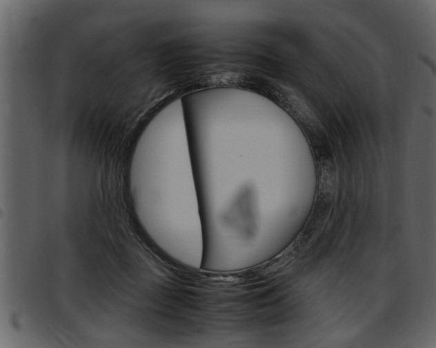 X0000097600363200802290738