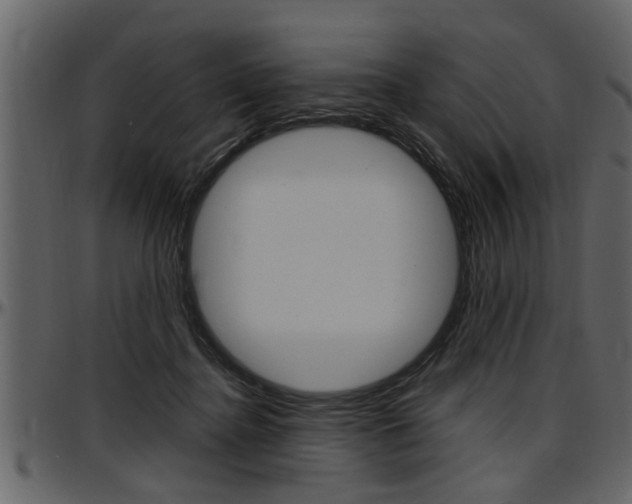 X0000097600364200802290738