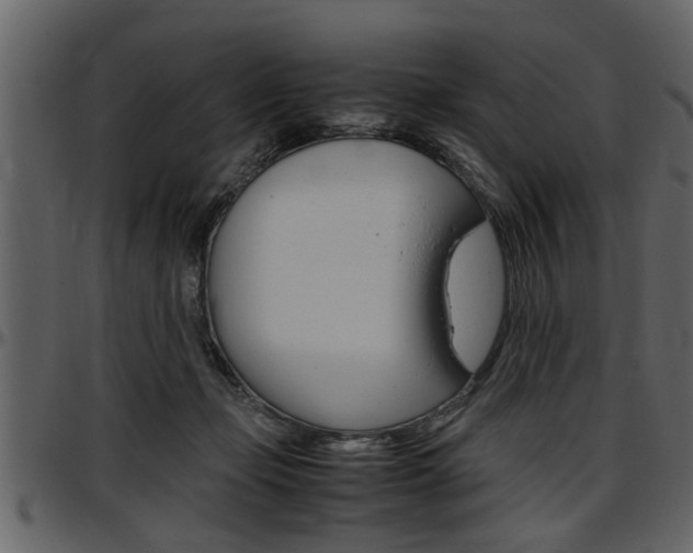 X0000097600365200802290738