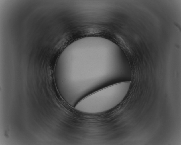 X0000097600366200802290738