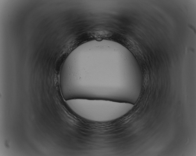 X0000097600367200802290738