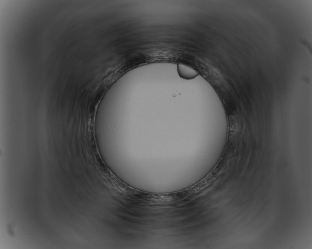 X0000097600369200802290738