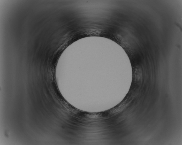 X0000097600370200802290738