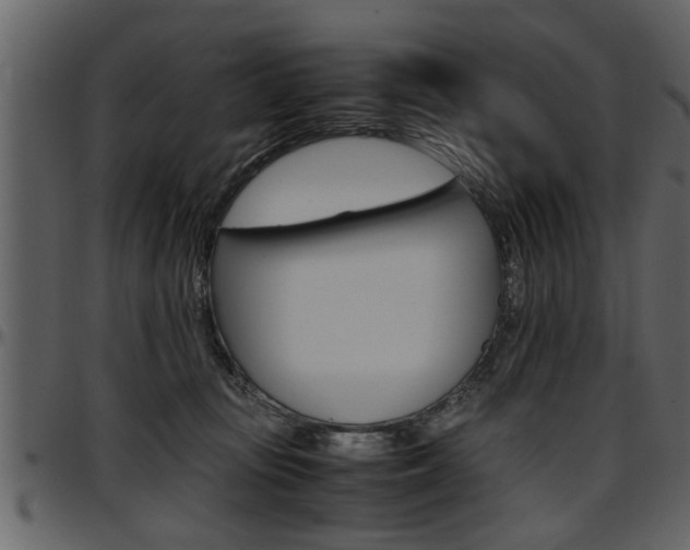 X0000097600371200802290738