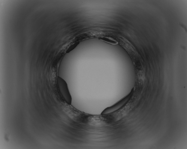 X0000097600372200802290738