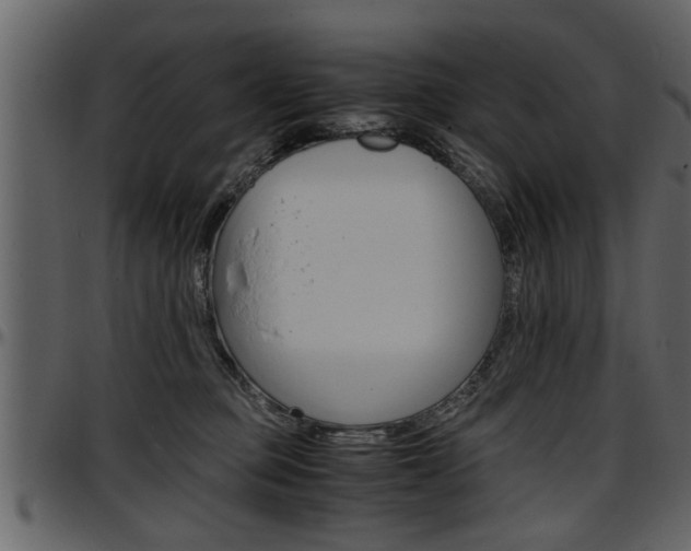 X0000097600373200802290738