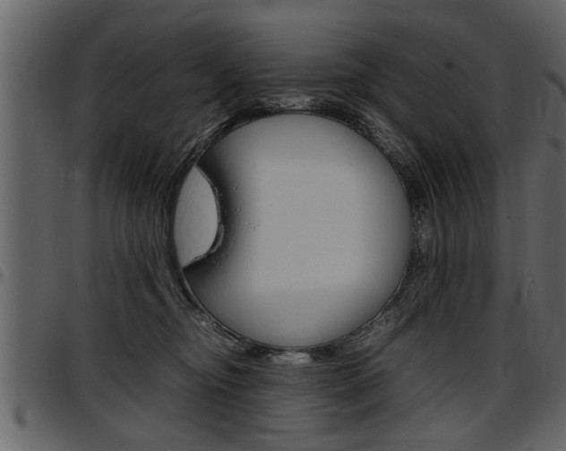 X0000097600374200802290738