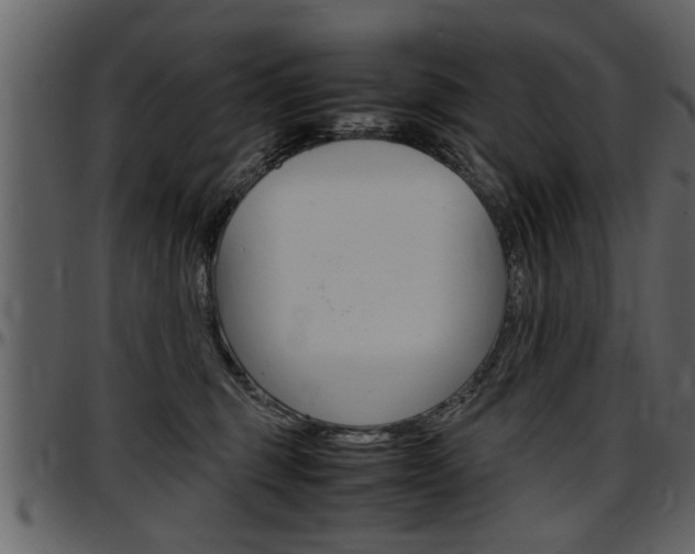 X0000097600375200802290738