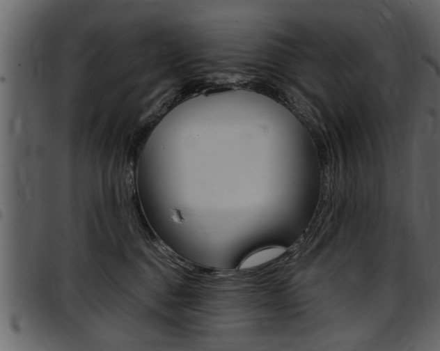 X0000097600376200802290738
