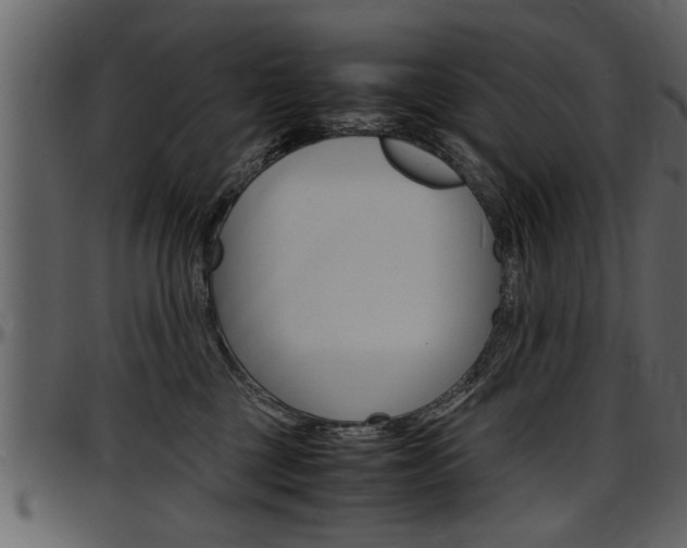 X0000097600377200802290738