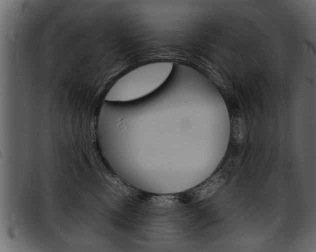 X0000097600378200802290738