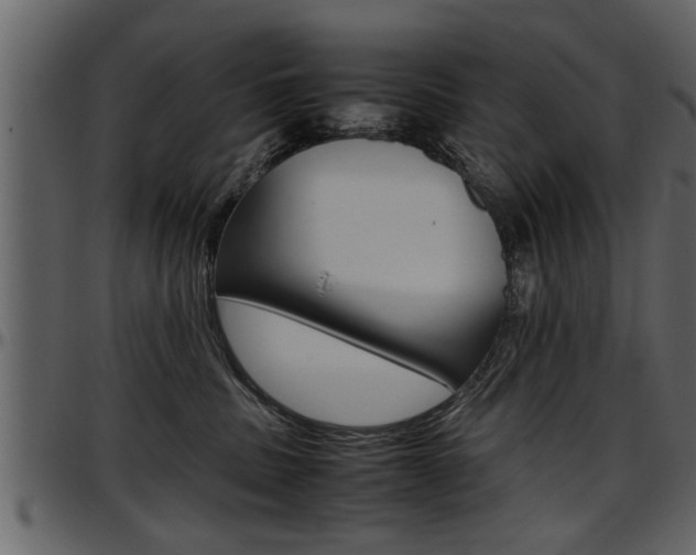 X0000097600379200802290738