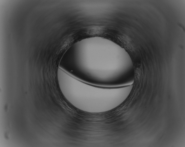 X0000097600380200802290738