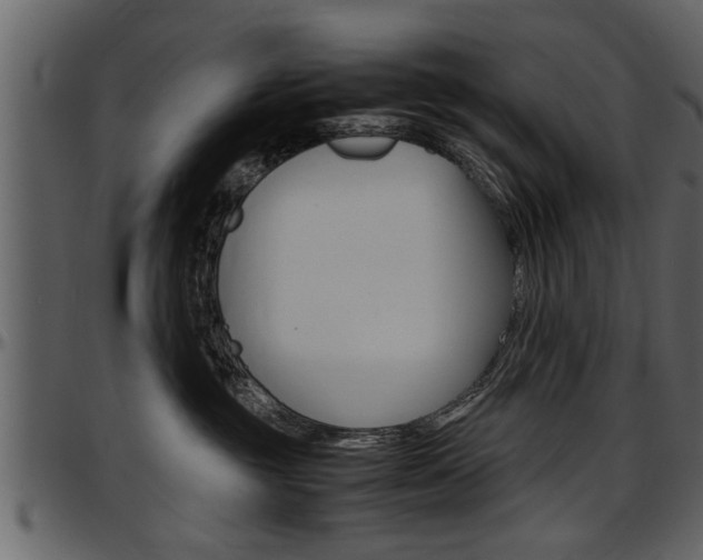 X0000097600381200802290738