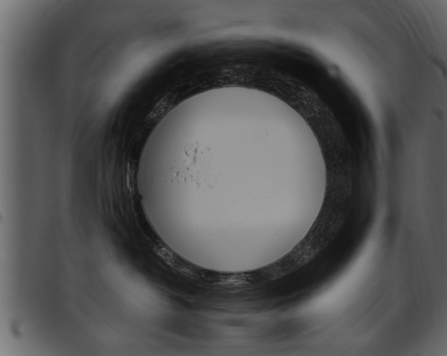 X0000097600382200802290738