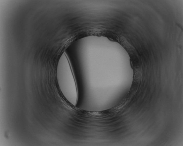 X0000097600383200802290738