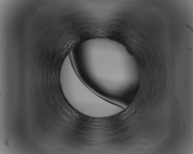 X0000097600384200802290738