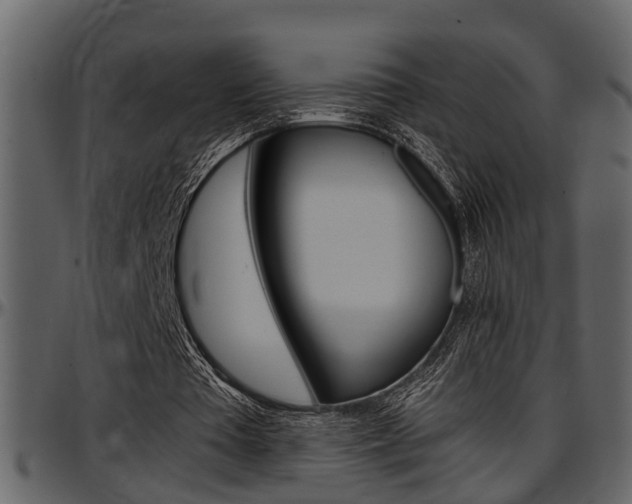 X0000097600385200802290737