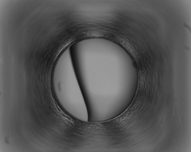 X0000097600386200802290737