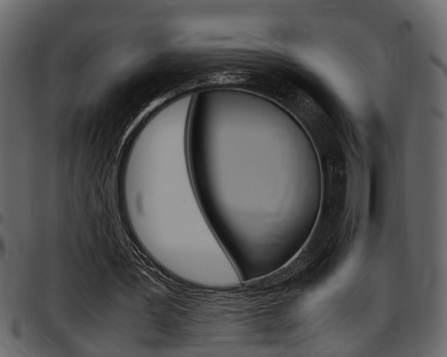 X0000097600387200802290737