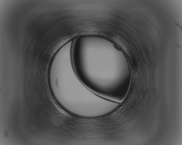 X0000097600389200802290737