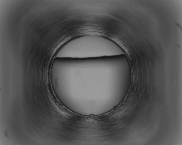 X0000097600390200802290737