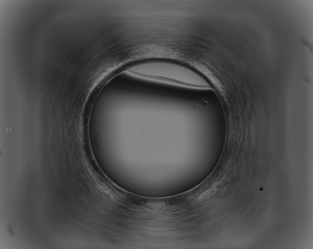 X0000097600391200802290737