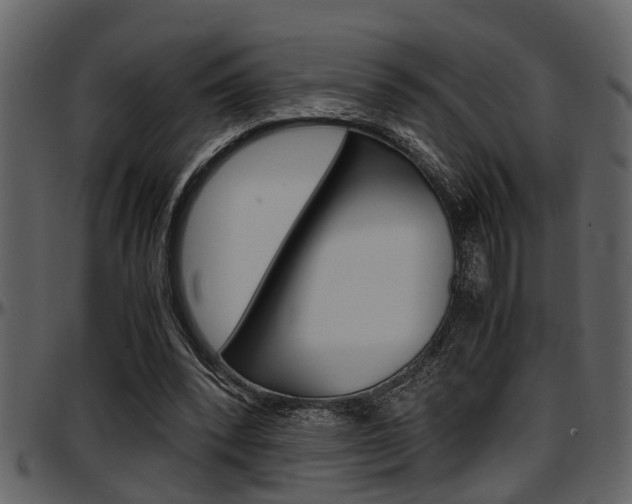 X0000097600392200802290737