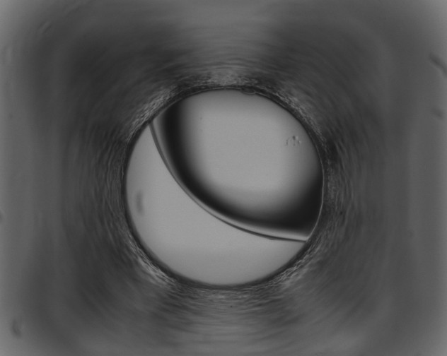 X0000097600393200802290737