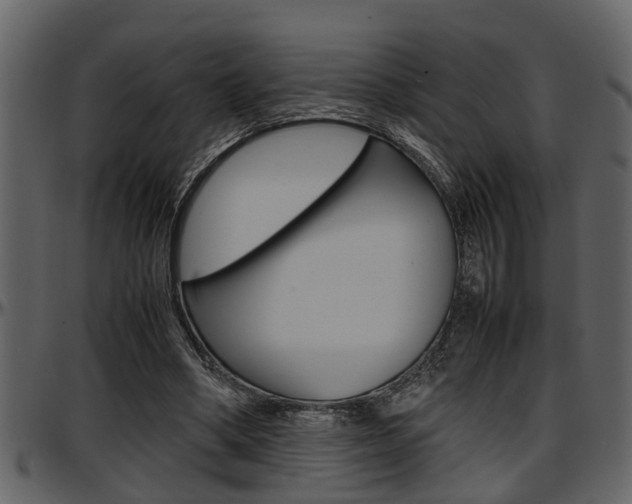 X0000097600394200802290737