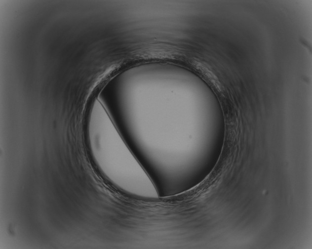 X0000097600395200802290737
