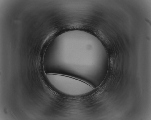 X0000097600396200802290737
