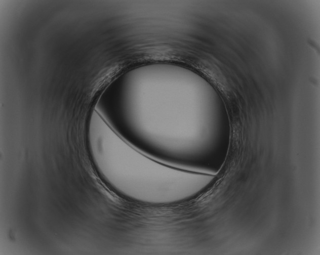 X0000097600397200802290737