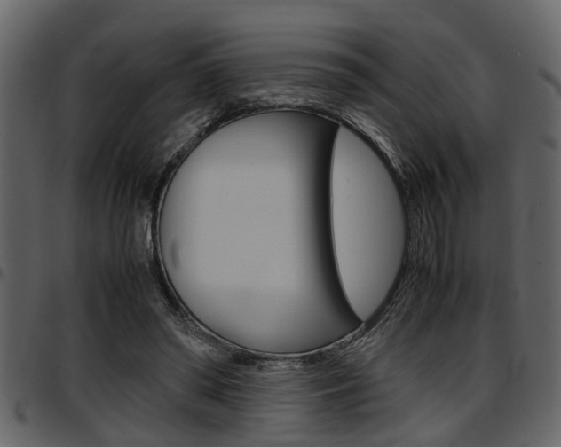 X0000097600398200802290737