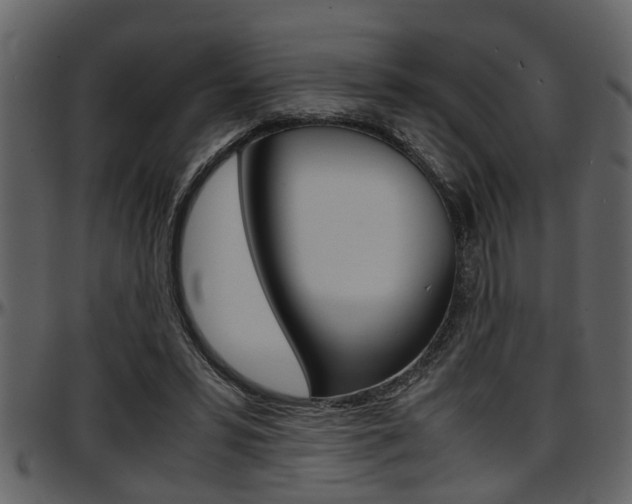 X0000097600399200802290737