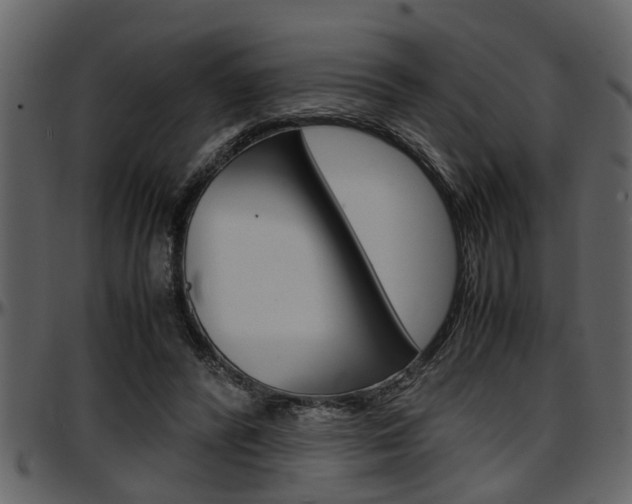 X0000097600400200802290737